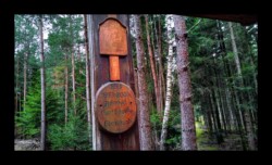 Dabo - Croix du Loup Dabo - Croix du Loup