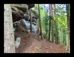 Dabo - Herrenfels Dabo - Herrenfels