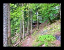 Dabo - Sentier qui descend de Herrenfels Dabo - Sentier qui descend de Herrenfels
