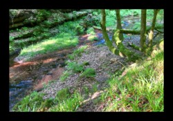 Dabo - Zorn blanche Dabo - Zorn blanche