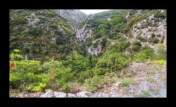 Vallon de la Maglia Vallon de la Maglia