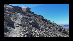 Chamois au sommet de la Mortice sud Chamois au sommet de la Mortice sud
