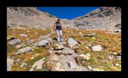 Revoici un peu de végétation Mortice - descente