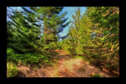 sentier des Hautes Chaumes