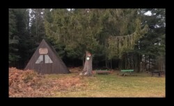 Parc aux Boeufs - 26 janvier 2025