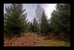 Sentier vers Hunerstkopf- 26 janvier 2025