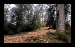 Hunerstkopf- 26 janvier 2025