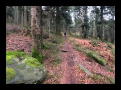 Sentier vers le Melkplatz - 26 janvier 2025