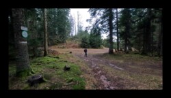 Col de la Sayotte - 26 janvier 2025