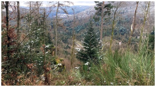 Vue sur la vallée du Rehthal depuis les falaises