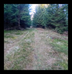 En direction du col de l' Hauenthal-2 février 2025