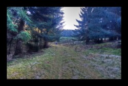 En direction du col de l' Hauenthal-2 février 2025