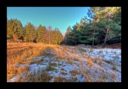 Col de l' Hauenthal-2 février 2025