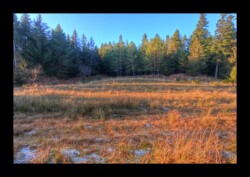 Col de l' Hauenthal-2 février 2025
