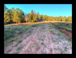 Au pied du Feuerstein- 2 février 2025