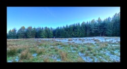 Prairie au pied du Feuerstein- 2 février 2025