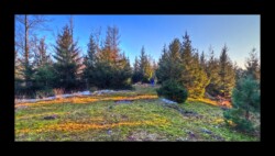 Feuerstein nord- 2 février 2025