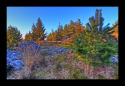 Feuerstein nord- 2 février 2025