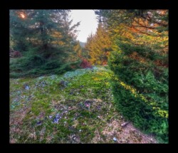 Feuerstein sud- 2 février 2025