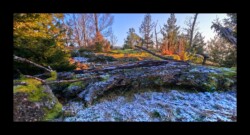 Feuerstein sud- 2 février 2025