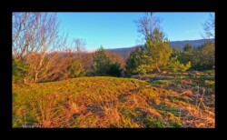 Feuerstein sud- 2 février 2025