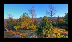 Feuerstein sud- 2 février 2025