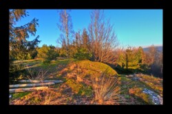 Feuerstein sud- 2 février 2025