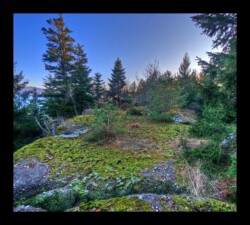 Feuerstein sud- 2 février 2025