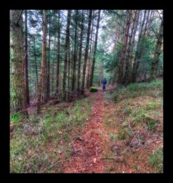 Sentier du Staufthal- 2 février 2025