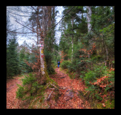 Enteneck - Départ du sentier vers le Jaegerhof