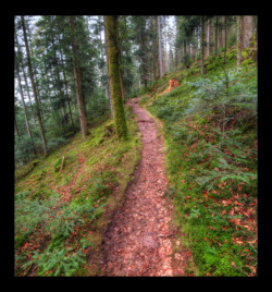 Sentier montant vers le Jaegerhof