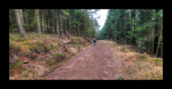 Sur la piste qui longe le vallon du Hoelsthal