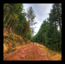 Sur la piste qui longe le vallon du Hoelsthal