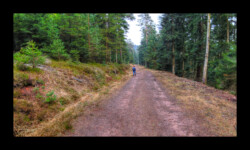 Sur la piste qui longe le vallon du Hoelsthal