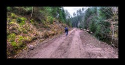 Sur la piste du Rosskopfthal