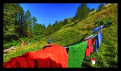 Bivouac en haut du ruisseau de Marta