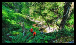 Bendola 2025-2emePartie-04