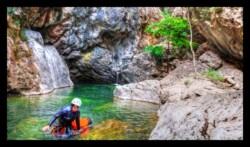 Bendola. Eau-Roche et arbre