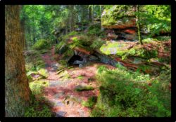 Début du sentier du Grossmann