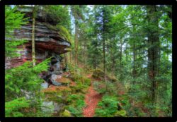 Sentier du Grossmann, montée vers Altmatt