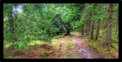 Descente vers la MF du Grossmann