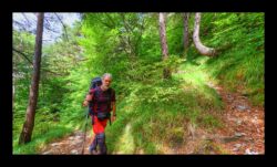 Dans la montée vers la bergerie d'Anan
