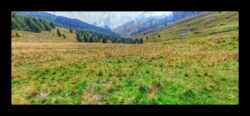 Début du vallon de la Bendola