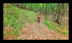 Descente en lacets après la Madonina