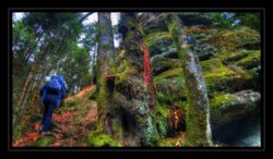 INSTA3601_1.702040_7902.758_7902.758_4120.863_3054.194_-0.452_0.126_89.836_0.000000_0.000000_0.000000_1.04555500_-1.96770263_5.23186493_0.00000000_0.00000000_8192_6144_126_197632 0.014648_-0.001953_0.000000_0.244141_0.244141_0.061035