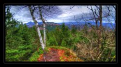 INSTA3601_1.702040_7902.758_7902.758_4120.863_3054.194_-0.452_0.126_89.836_0.000000_0.000000_0.000000_1.04555500_-1.96770263_5.23186493_0.00000000_0.00000000_8192_6144_126_197632 0.014648_-0.001953_0.000000_0.244141_0.244141_0.061035