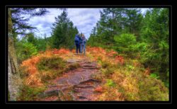 INSTA3601_1.702040_7902.758_7902.758_4120.863_3054.194_-0.452_0.126_89.836_0.000000_0.000000_0.000000_1.04555500_-1.96770263_5.23186493_0.00000000_0.00000000_8192_6144_126_197632 0.014648_-0.001953_0.000000_0.244141_0.244141_0.061035