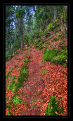 INSTA3601_1.702040_7902.758_7902.758_4120.863_3054.194_-0.452_0.126_89.836_0.000000_0.000000_0.000000_1.04555500_-1.96770263_5.23186493_0.00000000_0.00000000_8192_6144_126_197632 0.014648_-0.001953_0.000000_0.244141_0.244141_0.061035