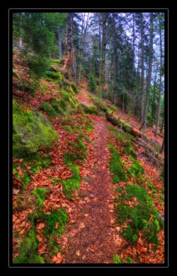 INSTA3601_1.702040_7902.758_7902.758_4120.863_3054.194_-0.452_0.126_89.836_0.000000_0.000000_0.000000_1.04555500_-1.96770263_5.23186493_0.00000000_0.00000000_8192_6144_126_197632 0.014648_-0.001953_0.000000_0.244141_0.244141_0.061035