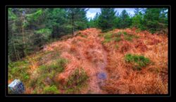 INSTA3601_1.702040_7902.758_7902.758_4120.863_3054.194_-0.452_0.126_89.836_0.000000_0.000000_0.000000_1.04555500_-1.96770263_5.23186493_0.00000000_0.00000000_8192_6144_126_197632 0.014648_-0.001953_0.000000_0.244141_0.244141_0.061035